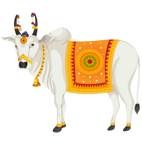 Sacred Cow Heritage